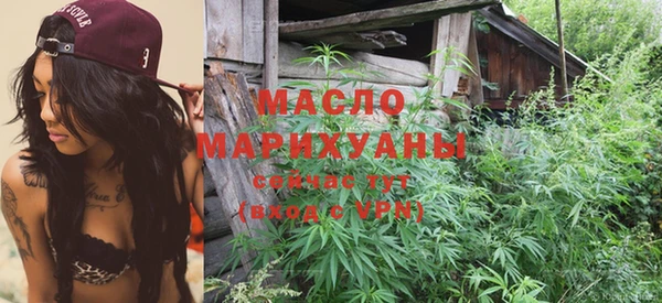 дмт Алексин