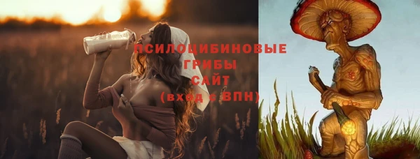 дмт Алексин