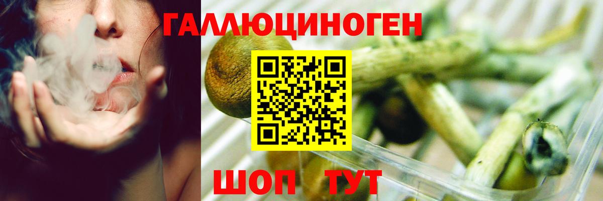Галлюциногенные грибы прущие грибы  Вход с VPN  Калач-на-Дону 